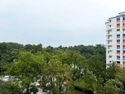 Blk 531 Choa Chu Kang Street 51 (Choa Chu Kang), HDB Executive #589747281